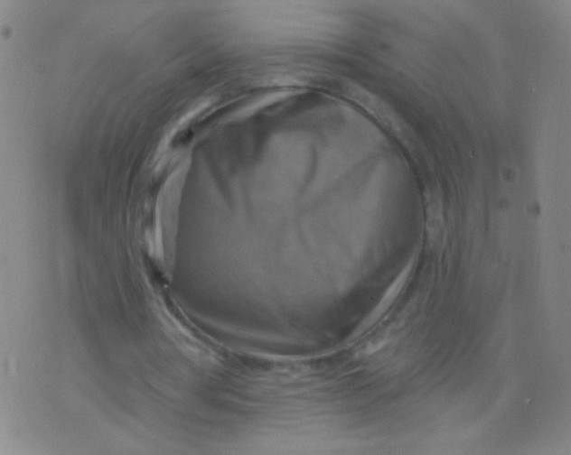 X0000075830386200610061827