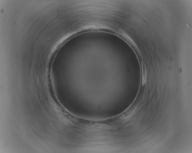 X0000075830387200610061827