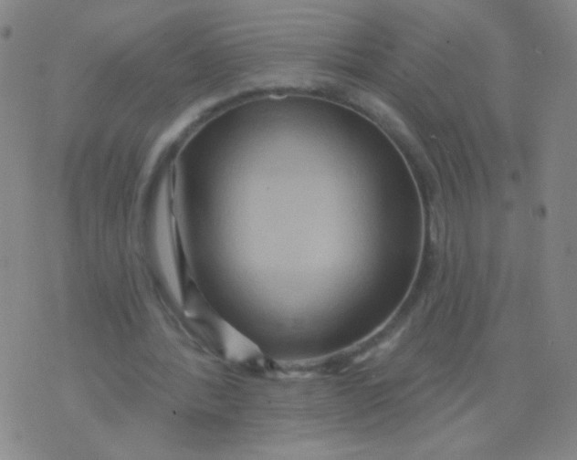 X0000075830388200610061827