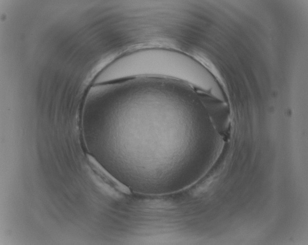 X0000075830389200610061827