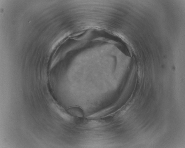 X0000075830390200610061827