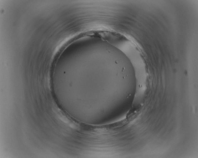 X0000075830391200610061827