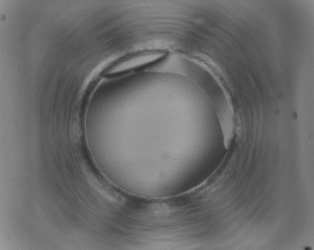 X0000075830392200610061827