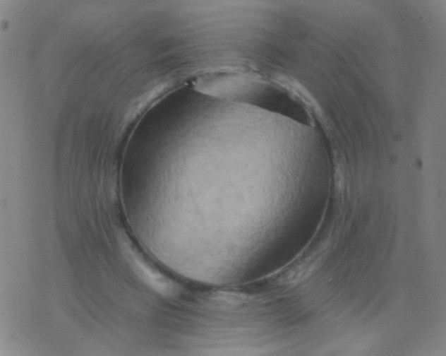 X0000075830393200610061827