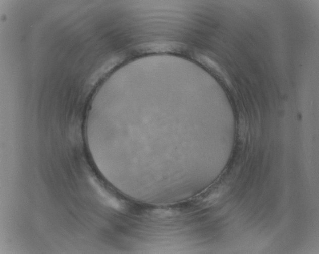 X0000075830394200610061827