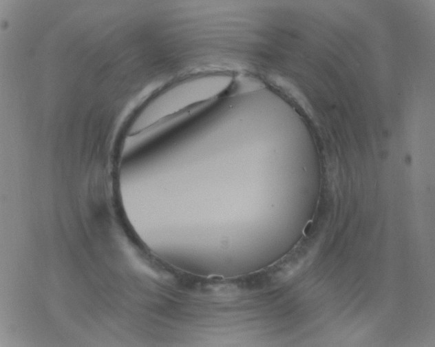 X0000075830395200610061827