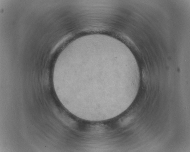 X0000075830396200610061827