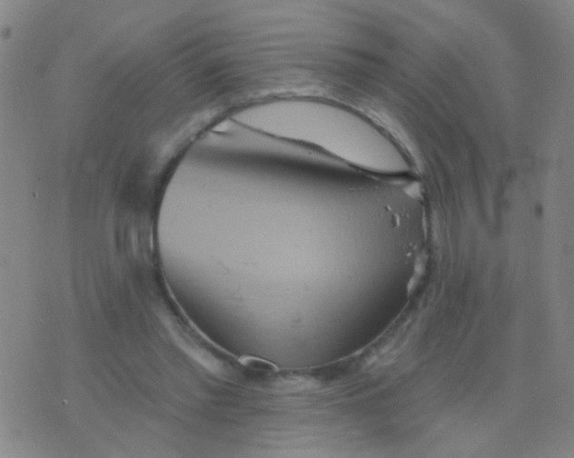 X0000075830397200610061827