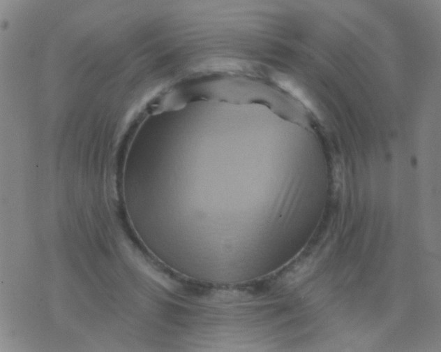 X0000075830399200610061827