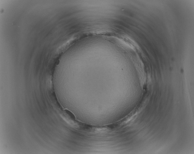 X0000075830401200610061827