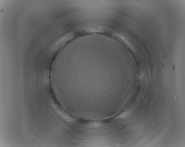 X0000075830402200610061827