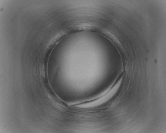 X0000075830403200610061827