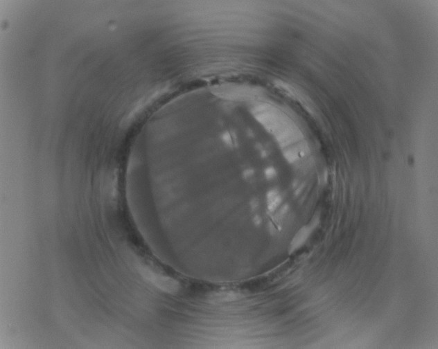 X0000075830404200610061827