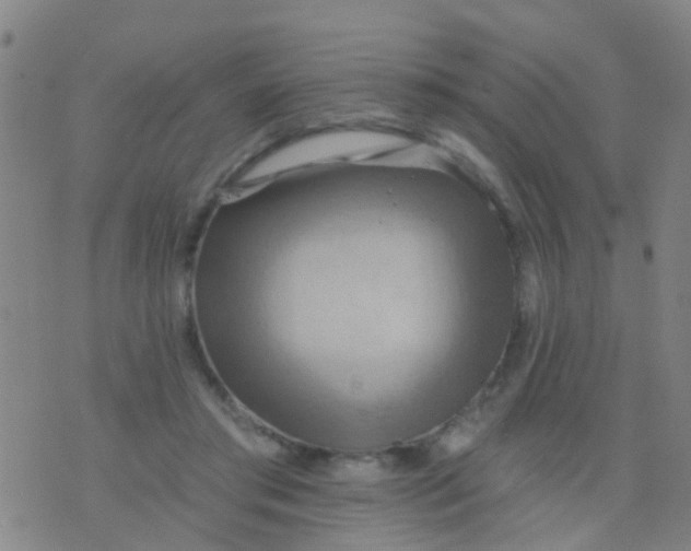 X0000075830405200610061827