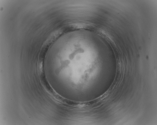 X0000075830406200610061827