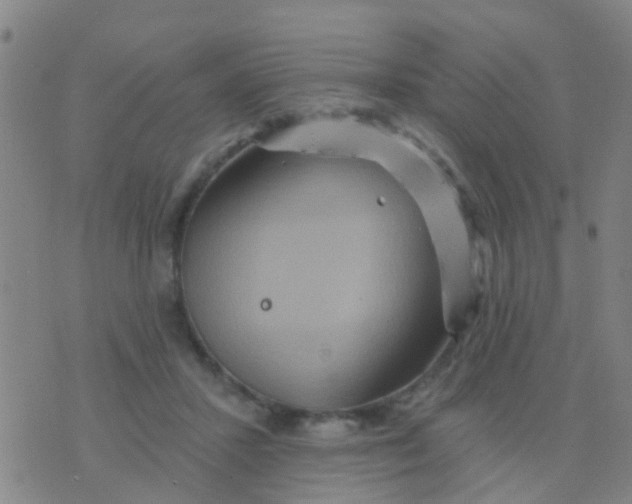 X0000075830407200610061827