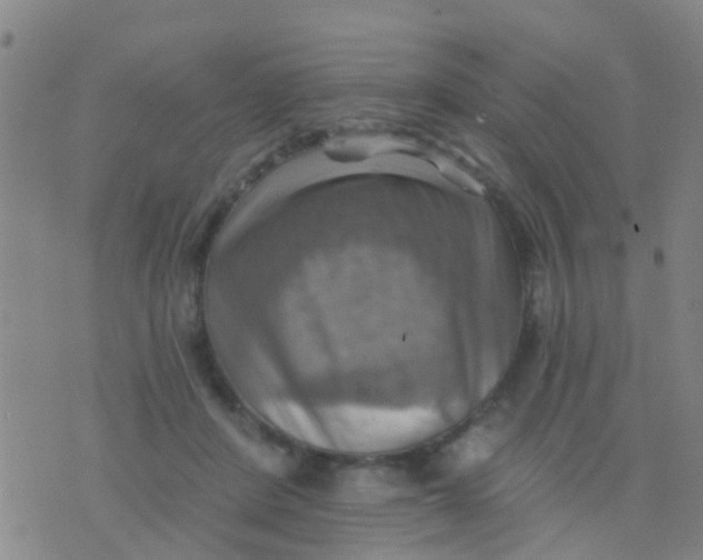 X0000075830408200610061827