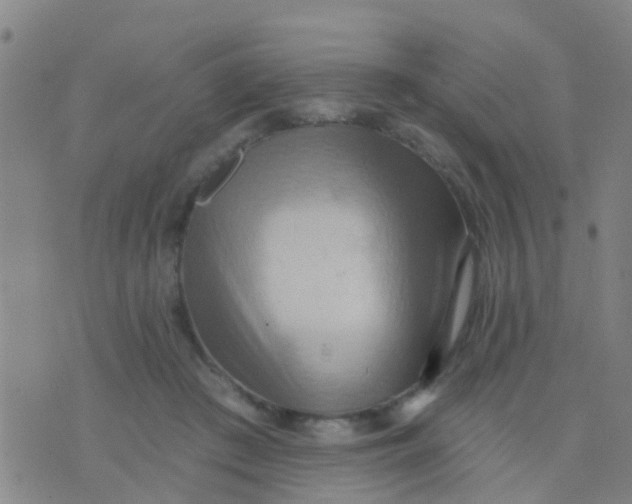 X0000075830409200610061827