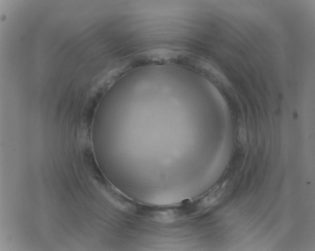 X0000075830411200610061827