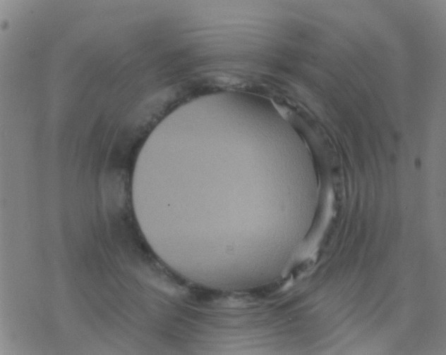 X0000075830412200610061827