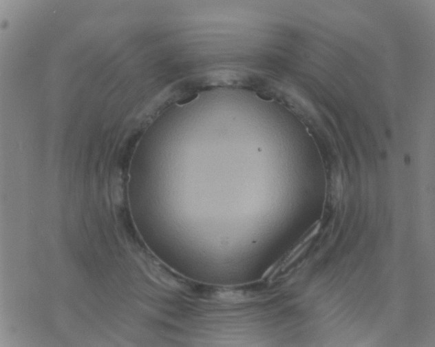 X0000075830413200610061827