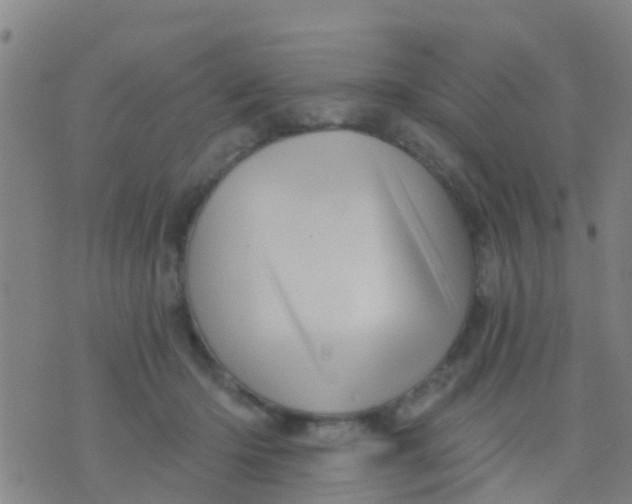 X0000075830414200610061827