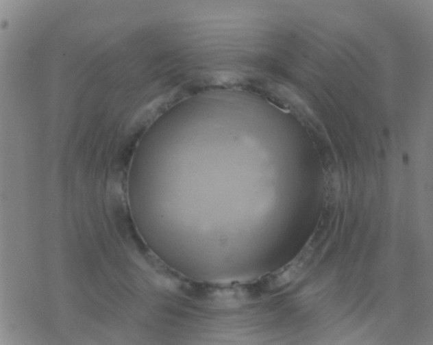 X0000075830415200610061827