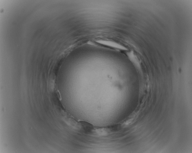 X0000075830417200610061827