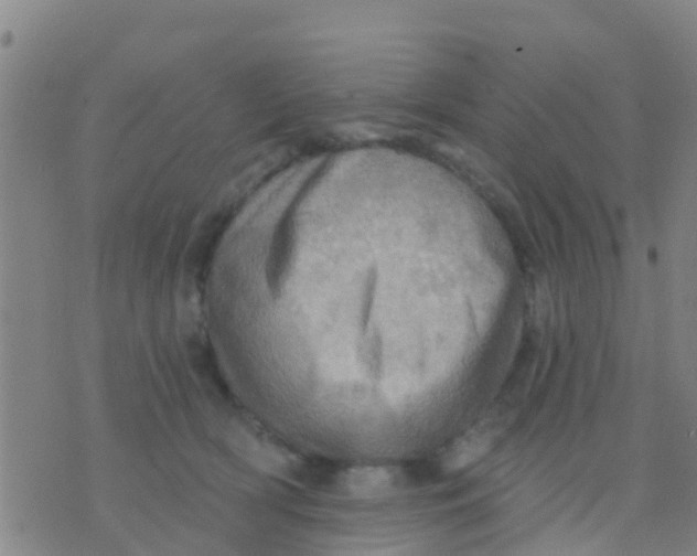 X0000075830418200610061827