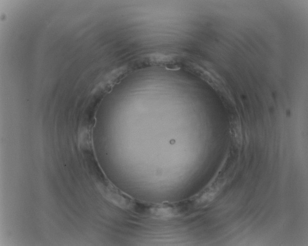 X0000075830419200610061827