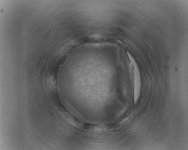 X0000075830420200610061827