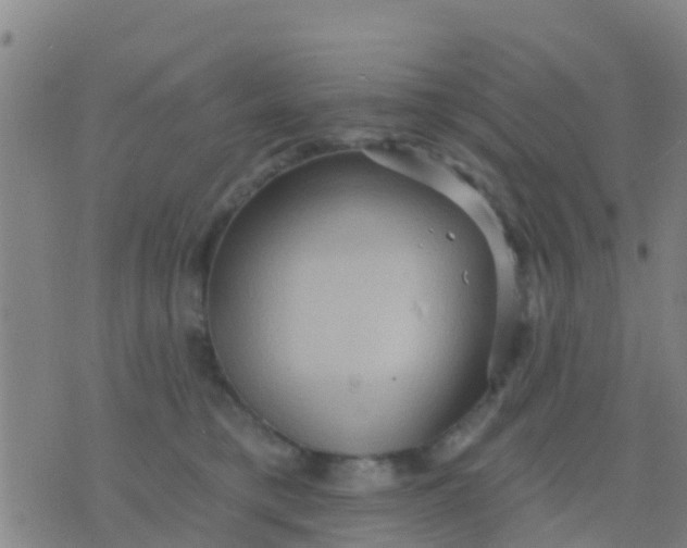 X0000075830421200610061827