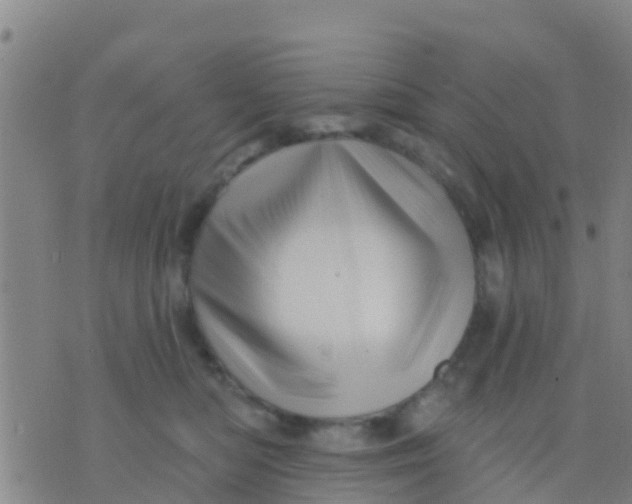 X0000075830422200610061827