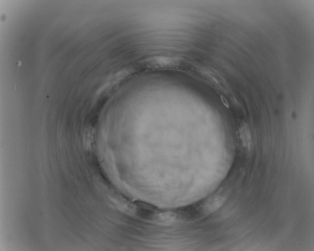 X0000075830423200610061827