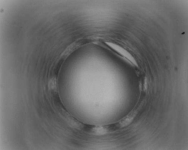 X0000075830425200610061827