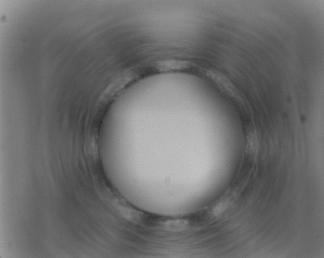 X0000075830426200610061827