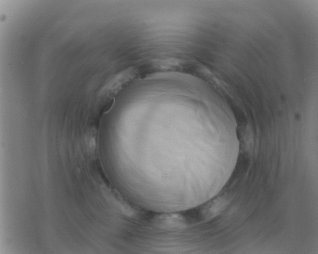 X0000075830427200610061827