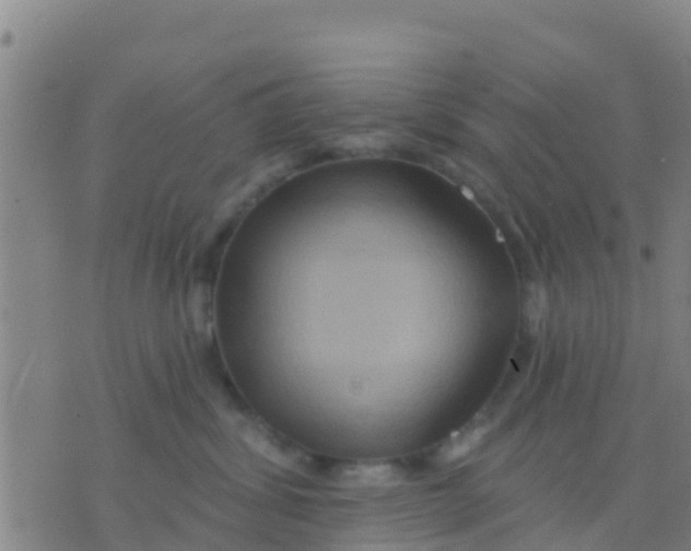 X0000075830428200610061827