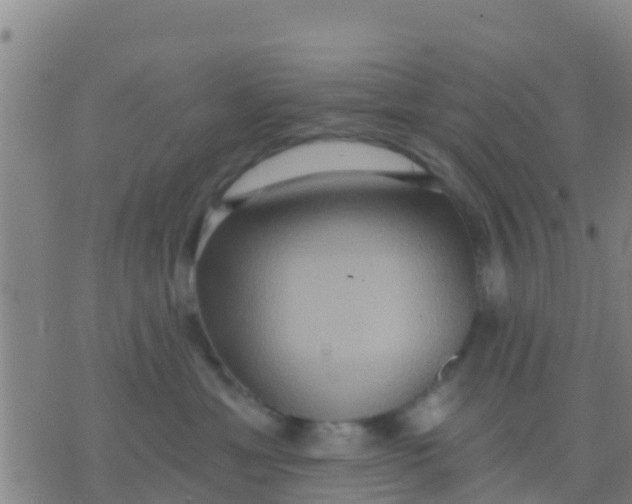 X0000075830429200610061827