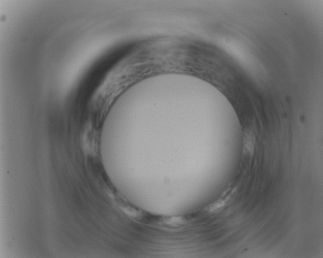 X0000075830431200610061827