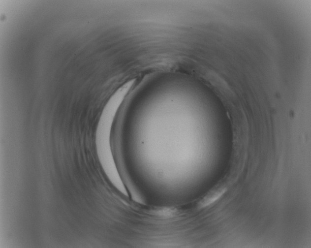 X0000075830432200610061827