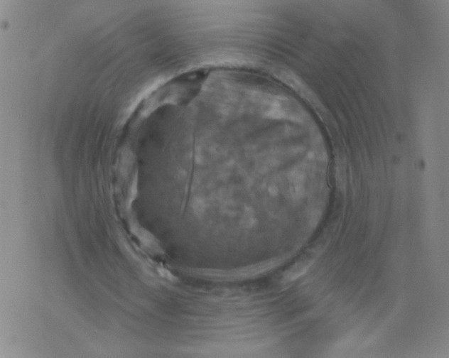 X0000075830434200610061826