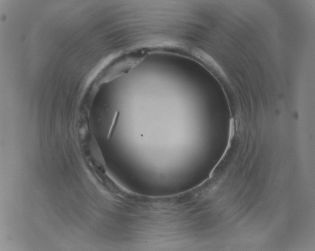 X0000075830436200610061826