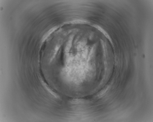 X0000075830437200610061826