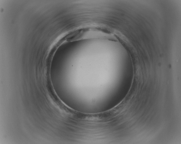 X0000075830440200610061826