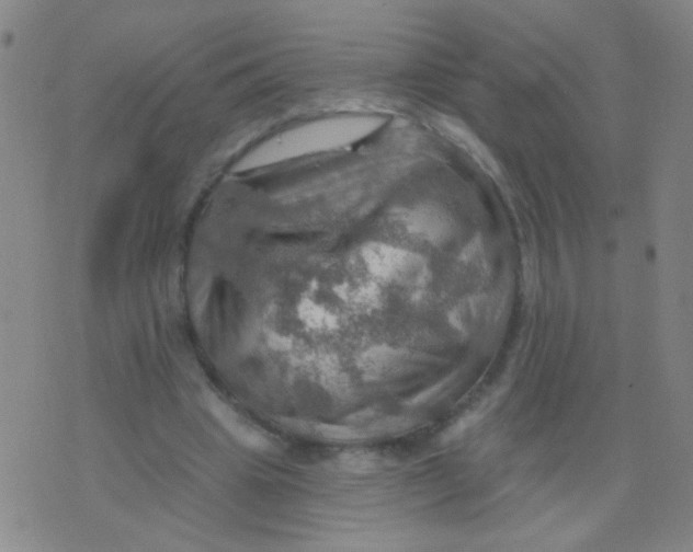 X0000075830441200610061826