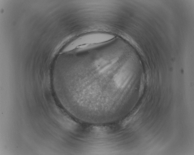 X0000075830442200610061826