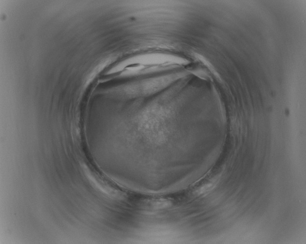 X0000075830443200610061826