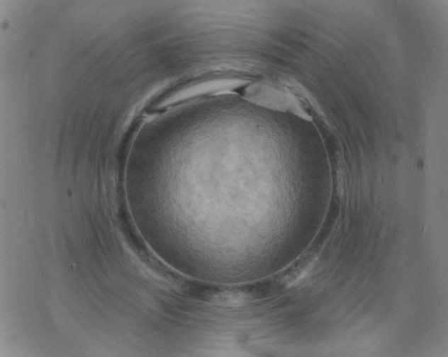 X0000075830444200610061826