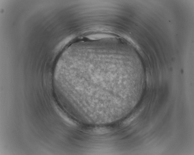 X0000075830445200610061826